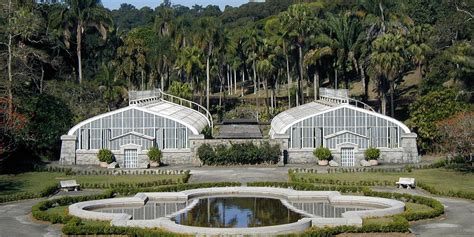 O Jardim Botânico de Pu'er: Um Santuário Aromático para os Sentidos e para o Alento da Alma!